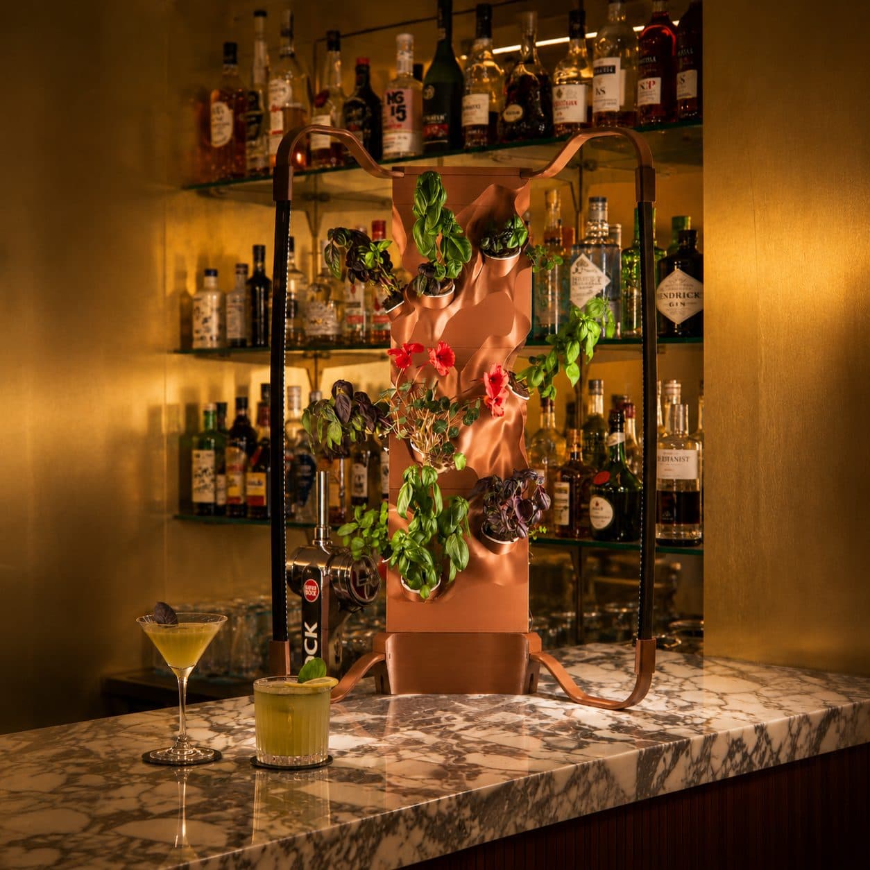 Ortus garden styled behind a cocktail bar