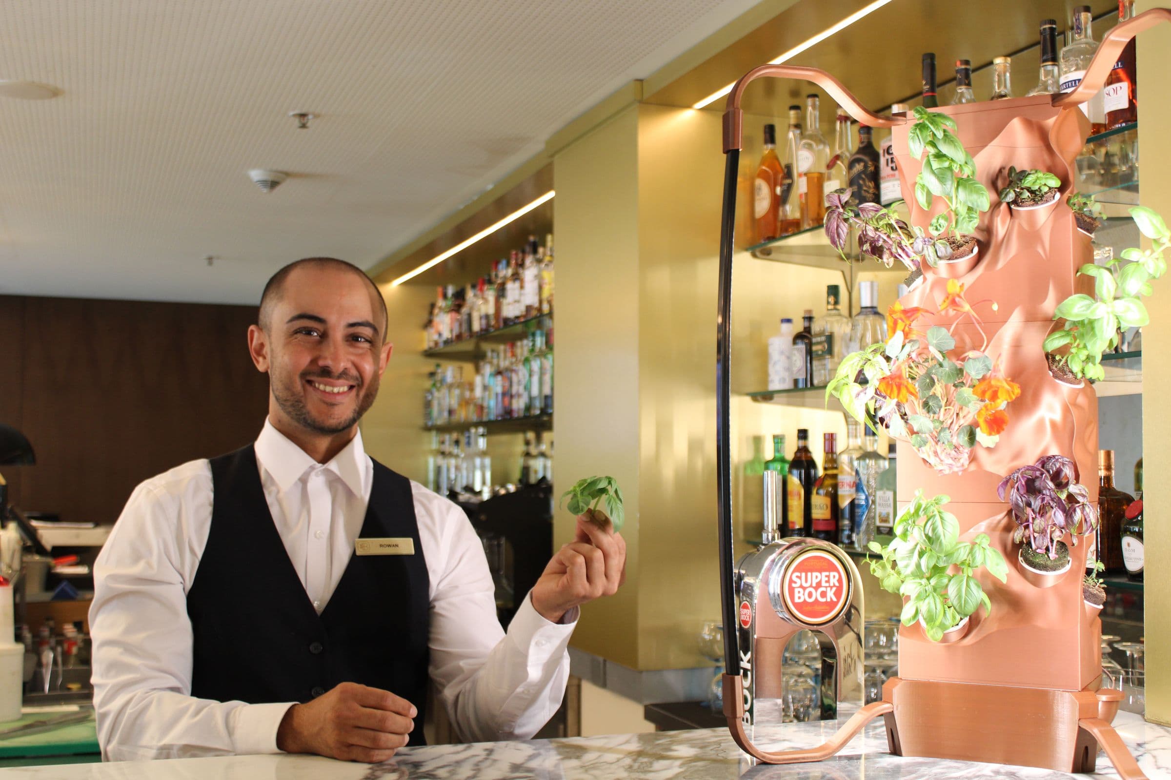 Bartender picking fresh basil from the Ortus garden at the Hilton bar
