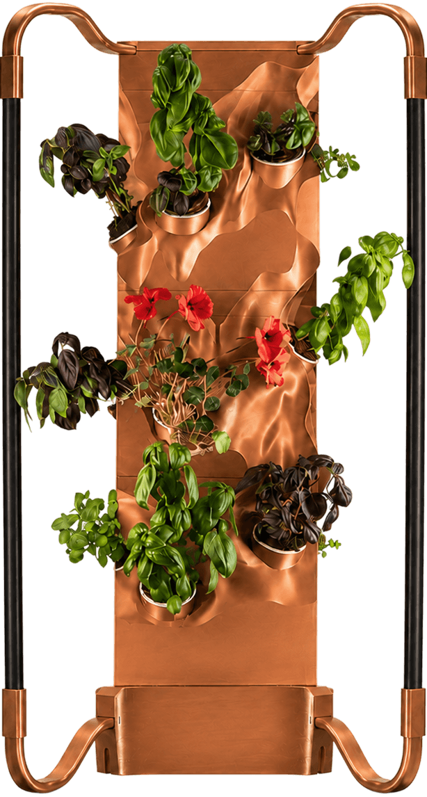 Ortus copper indoor garden filled with herbs and edible flowers